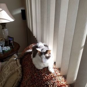 Meet your Posher, Richard